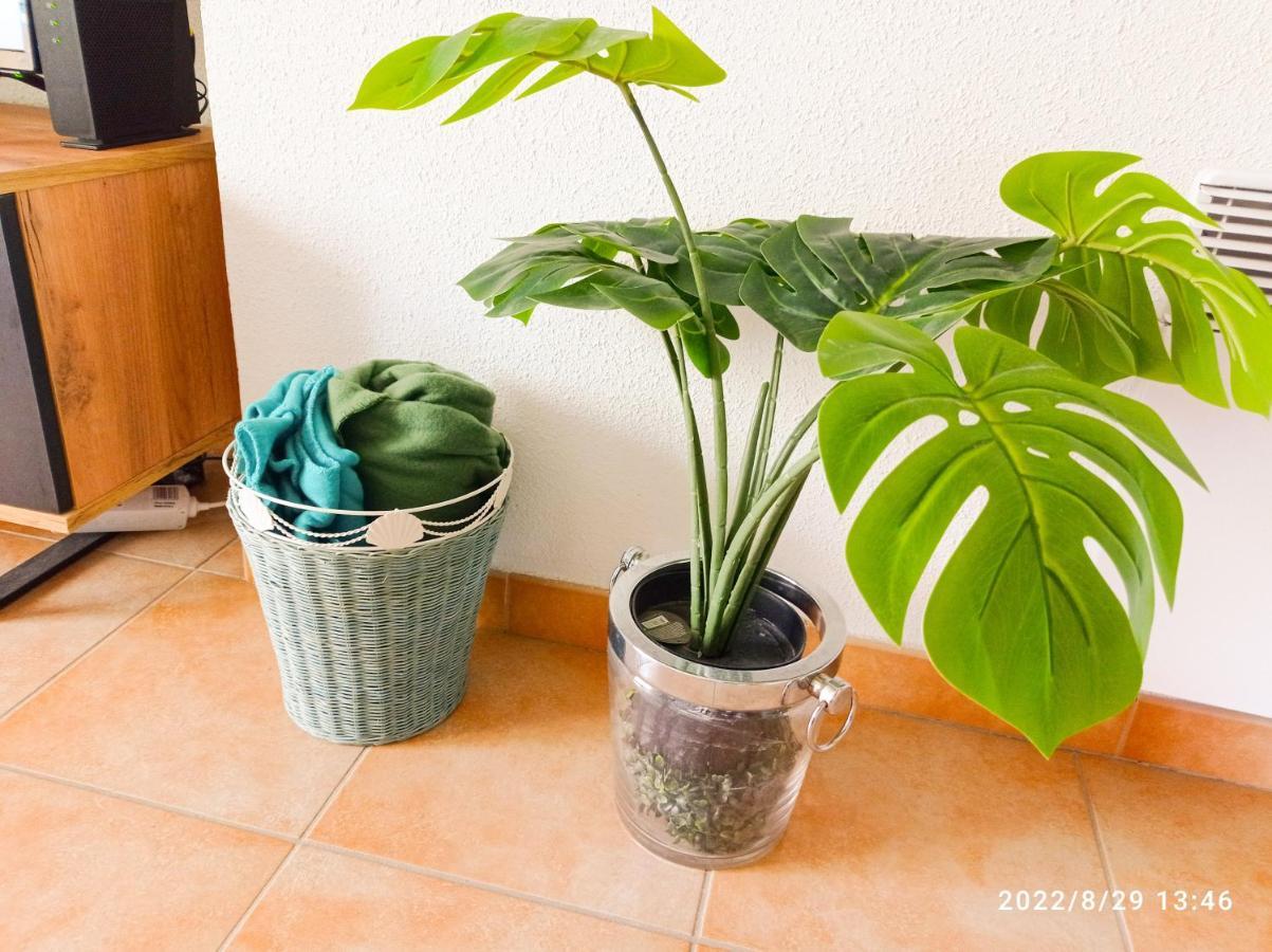 Appart Douillet Apartment ชาโตว์-อาร์นูซ์-แซงต์-โอบอง ภายนอก รูปภาพ